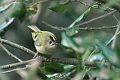 26 03 15_2630_edited-1